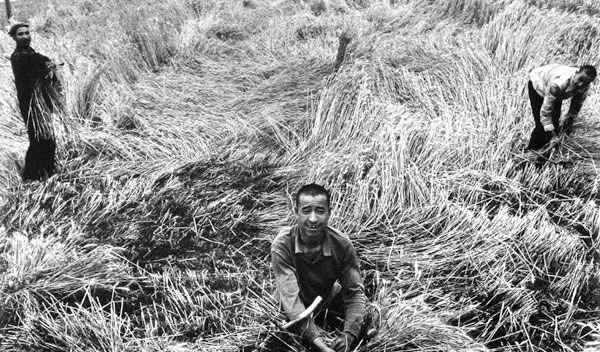 中国麦客网的简介