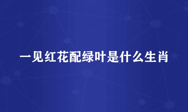 一见红花配绿叶是什么生肖