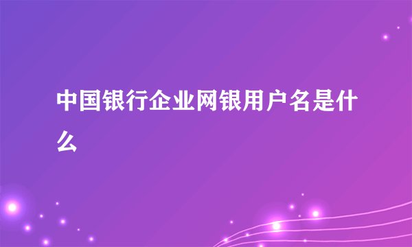 中国银行企业网银用户名是什么