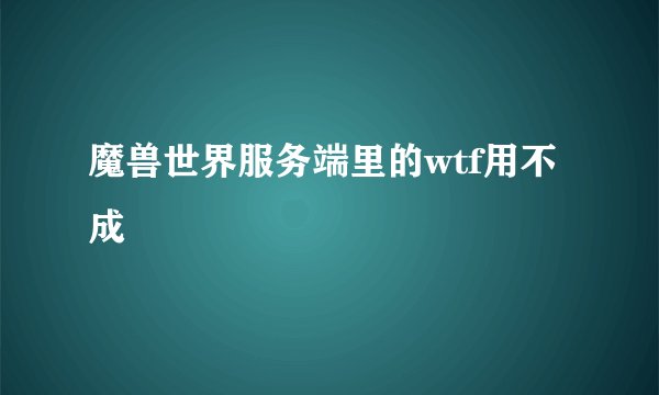 魔兽世界服务端里的wtf用不成