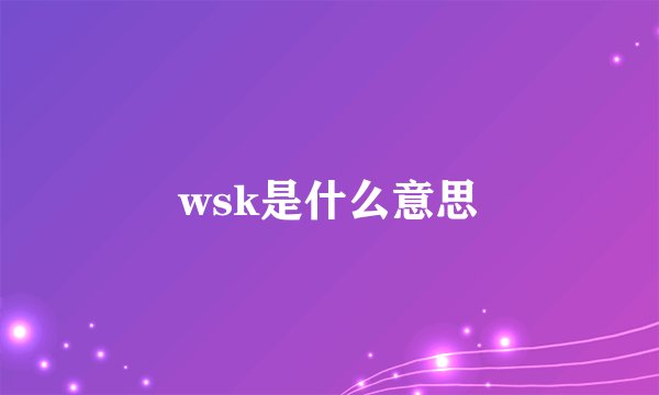 wsk是什么意思