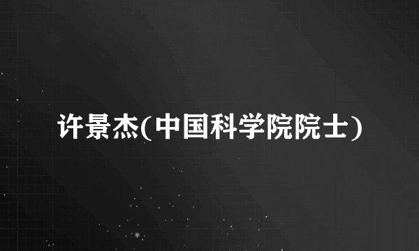 许景杰(中国科学院院士)