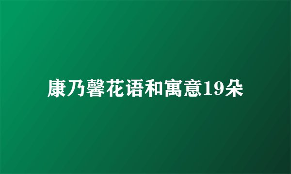 康乃馨花语和寓意19朵