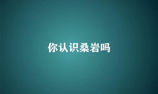 你认识桑岩吗