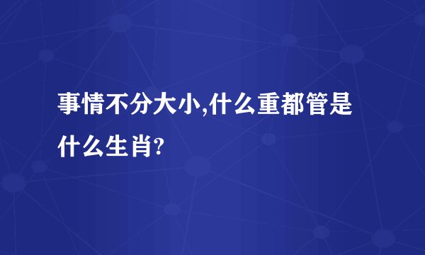 事情不分大小,什么重都管是什么生肖?