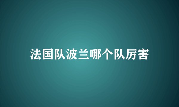 法国队波兰哪个队厉害