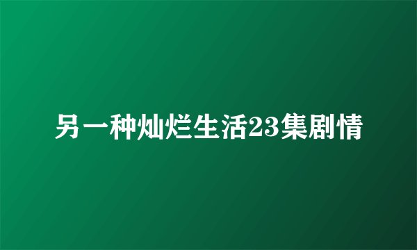 另一种灿烂生活23集剧情