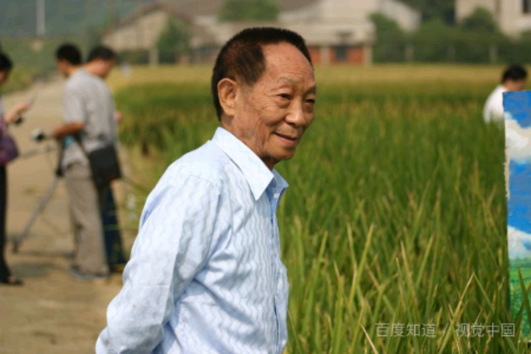 禾下乘凉梦对联可以