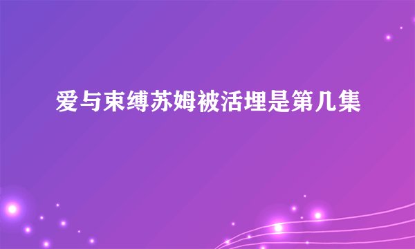 爱与束缚苏姆被活埋是第几集