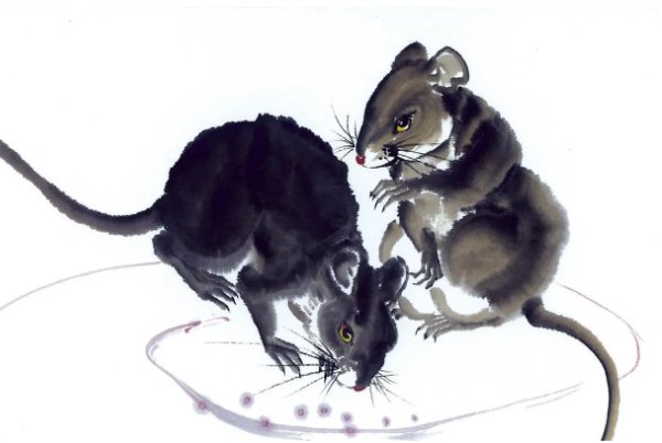 春雨沥沥猜一生肖