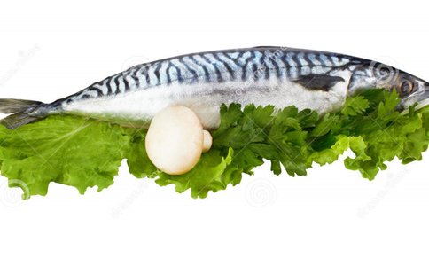 小瀑布山狼的生活习性