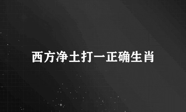 西方净土打一正确生肖