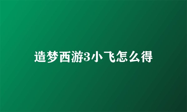 造梦西游3小飞怎么得