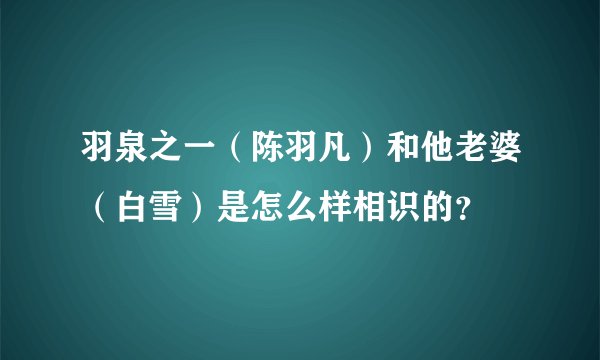 羽泉之一(陈羽凡)和他老婆(白雪)是怎么样相识的?