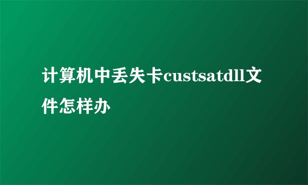 计算机中丢失卡custsatdll文件怎样办