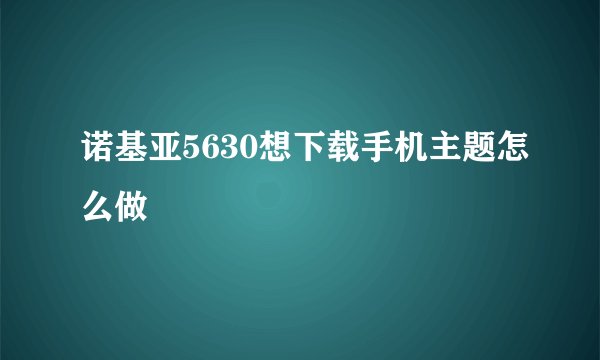 诺基亚5630想下载手机主题怎么做
