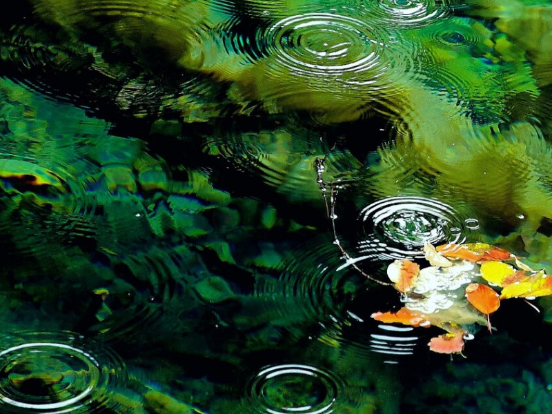 潋滟是什么意思解释一下