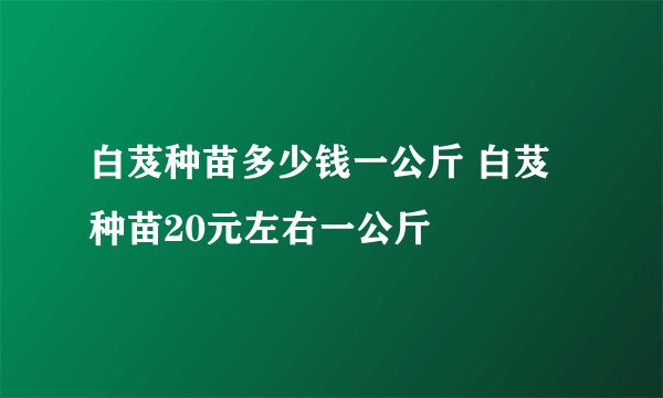 白芨种苗多少钱一公斤 白芨种苗20元左右一公斤