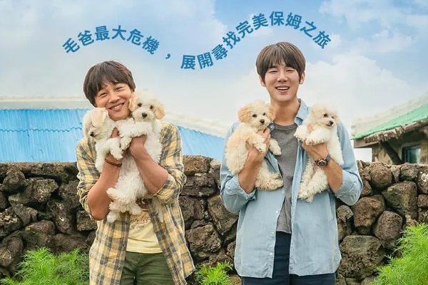 最新韩国喜剧电影推荐