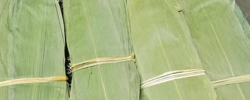 干粽叶是先泡还是先煮