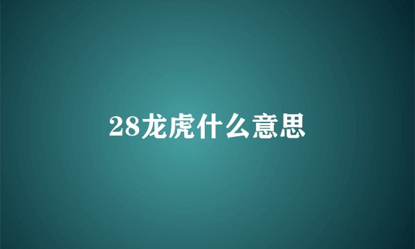 28龙虎什么意思
