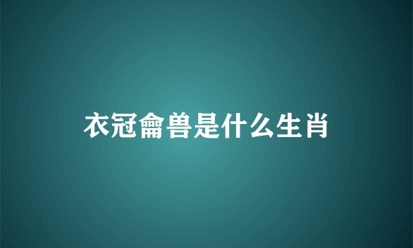 衣冠龠兽是什么生肖