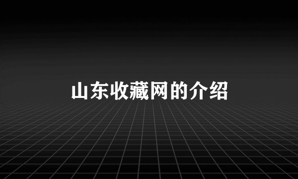 山东收藏网的介绍