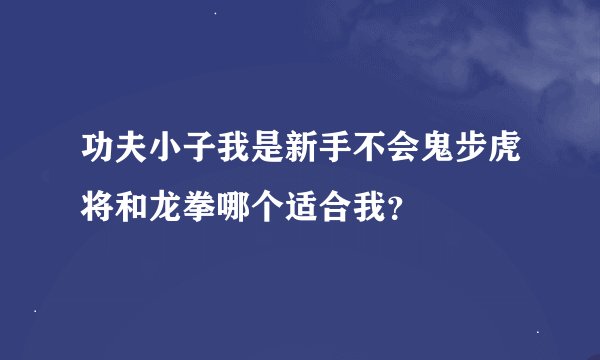 功夫小子我是新手不会鬼步虎将和龙拳哪个适合我？