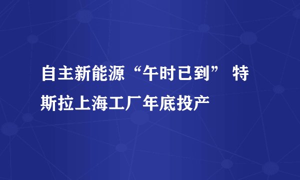自主新能源“午时已到” 特斯拉上海工厂年底投产