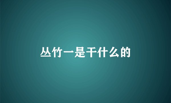 丛竹一是干什么的