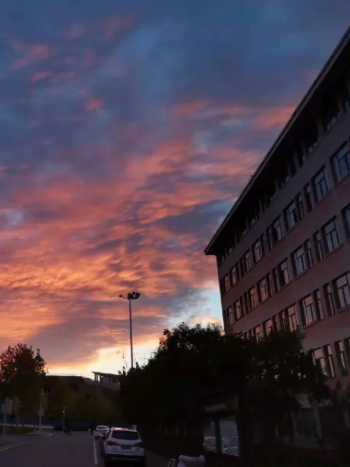 河南财政税务高等专科学校怎么样？