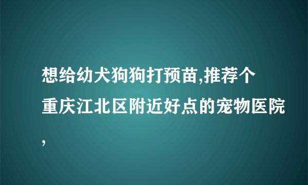 想给幼犬狗狗打预苗,推荐个重庆江北区附近好点的宠物医院,