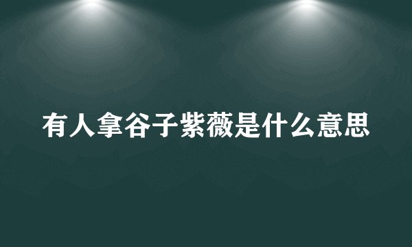有人拿谷子紫薇是什么意思
