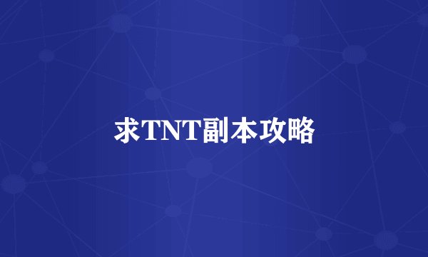 求TNT副本攻略