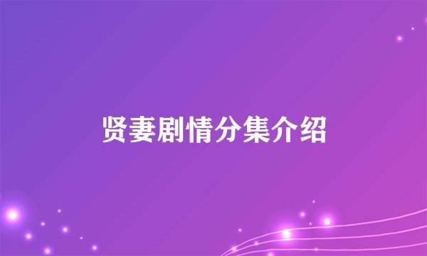 贤妻剧情分集介绍