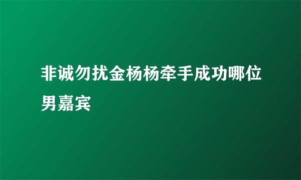 非诚勿扰金杨杨牵手成功哪位男嘉宾