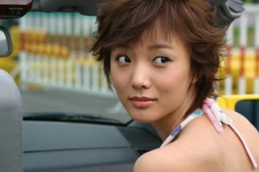 蝴蝶飞飞演员表介绍