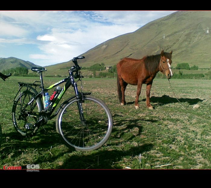 自行我路的介绍
