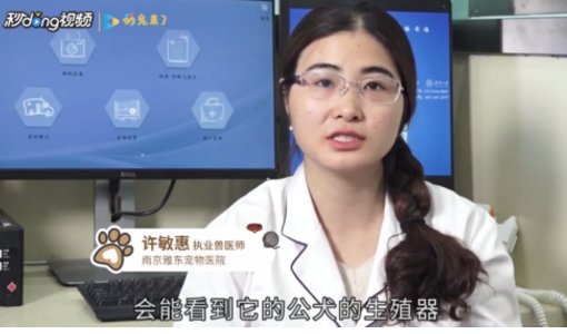 怎么区分小母狗和小公狗的生殖器啊？