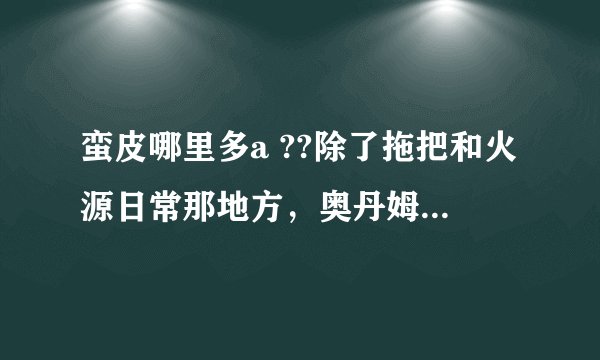 蛮皮哪里多a ??除了拖把和火源日常那地方，奥丹姆我去了没多少，有人说海山，具体哪啊