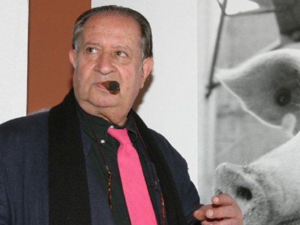 丁度巴拉的经典作品