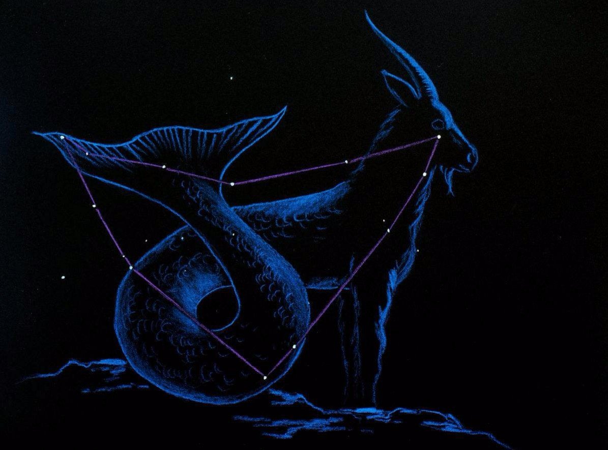 摩羯是什么动物