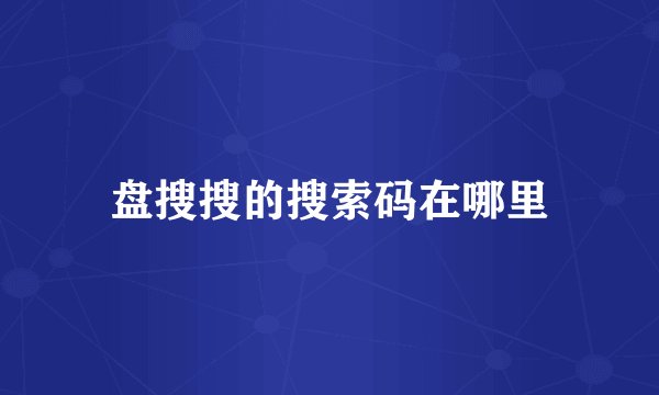 盘搜搜的搜索码在哪里