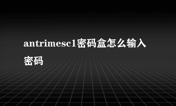 antrimesc1密码盒怎么输入密码