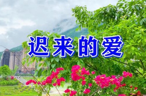 歌曲《迟来的爱》原唱