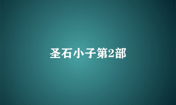 圣石小子第2部