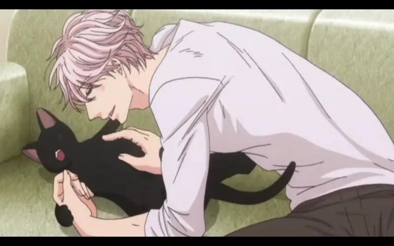 黑猫男友怎么撒娇？