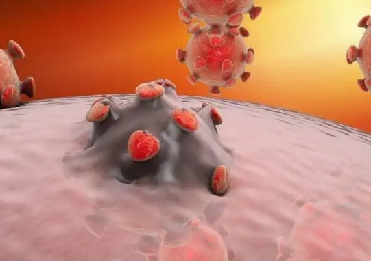 三份猴痘病毒最新基因测序结果公布了，具体的结果是怎样的？