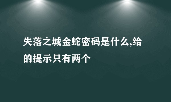 失落之城金蛇密码是什么,给的提示只有两个