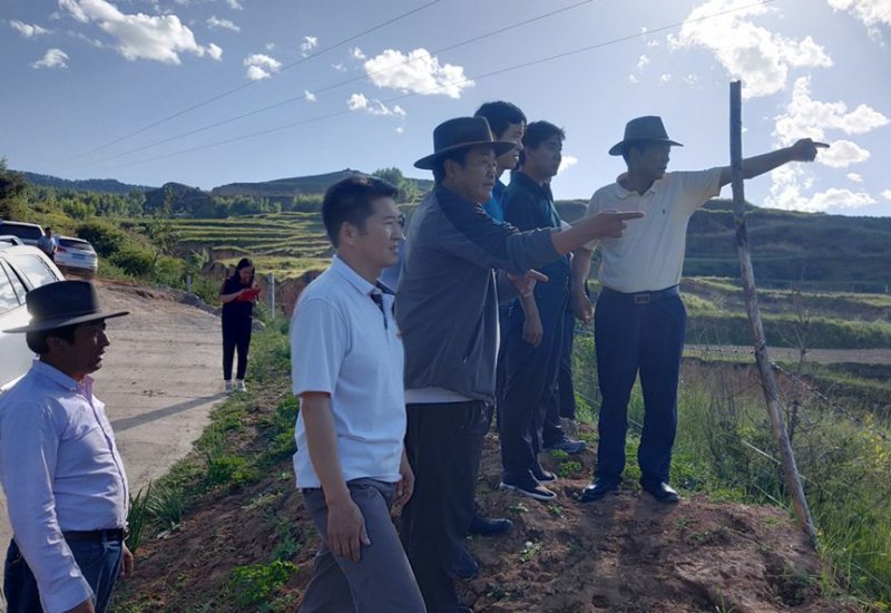 一改两为是什么意思?